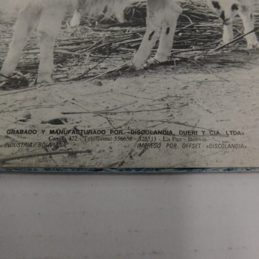 El Grupo Almandina - Music of the Andes LP (VG+/VG+) Bolivia