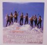    The Stratton Mountain Boys - 20th Anniversary LP (EX/VG+) 1996 