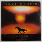 Dave Grusin - One Of A Kind LP (VG+/VG) USA