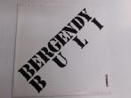 Bergendy - Bergendy Buli LP (VG+/VG+)