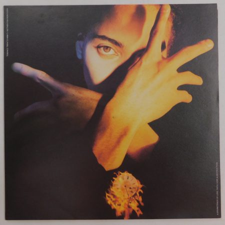 Terence Trent D'Arby's Neither Fish Nor Flesh -Soundtrack Of Love, Faith.. LP (EX/EX) Holland, 1989