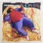 Chunky A - Owwww! 12" (EX/VG+) 1989, USA.